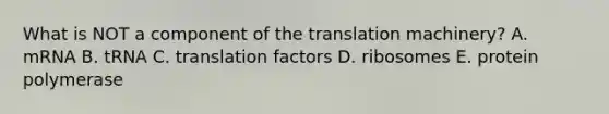 What is NOT a component of the translation machinery? A. mRNA B. tRNA C. translation factors D. ribosomes E. protein polymerase