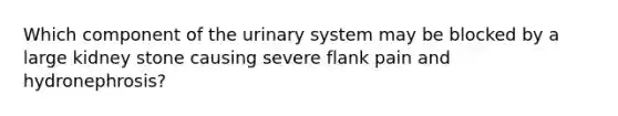 Which component of the urinary system may be blocked by a large kidney stone causing severe flank pain and hydronephrosis?