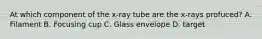 At which component of the x-ray tube are the x-rays profuced? A. Filament B. Focusing cup C. Glass envelope D. target