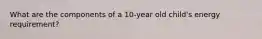 What are the components of a 10-year old child's energy requirement?