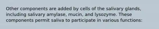 Other components are added by cells of the salivary glands, including salivary amylase, mucin, and lysozyme. These components permit saliva to participate in various functions: