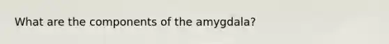 What are the components of the amygdala?