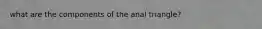 what are the components of the anal triangle?