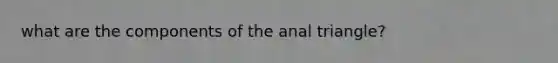 what are the components of the anal triangle?