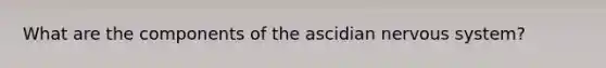 What are the components of the ascidian nervous system?
