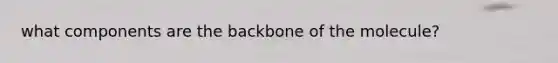 what components are the backbone of the molecule?