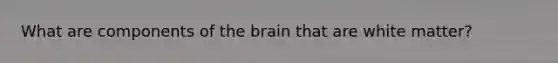 What are components of the brain that are white matter?