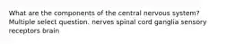 What are the components of the central nervous system? Multiple select question. nerves spinal cord ganglia sensory receptors brain