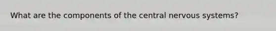 What are the components of the central nervous systems?