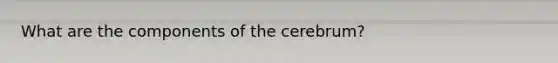 What are the components of the cerebrum?