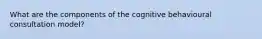 What are the components of the cognitive behavioural consultation model?