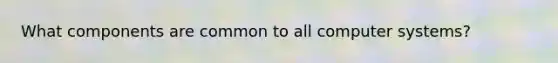 What components are common to all computer systems?
