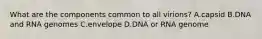 What are the components common to all virions? A.capsid B.DNA and RNA genomes C.envelope D.DNA or RNA genome