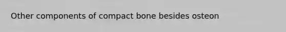 Other components of compact bone besides osteon