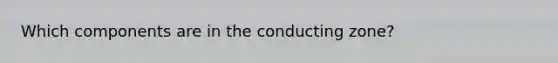 Which components are in the conducting zone?