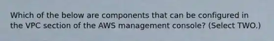 Which of the below are components that can be configured in the VPC section of the AWS management console? (Select TWO.)