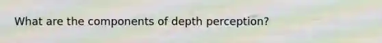 What are the components of depth perception?