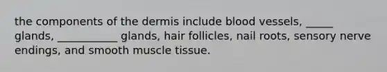 the components of the dermis include blood vessels, _____ glands, ___________ glands, hair follicles, nail roots, sensory nerve endings, and smooth muscle tissue.