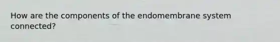 How are the components of the endomembrane system connected?