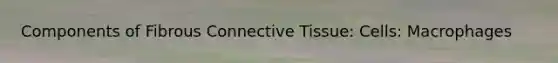 Components of Fibrous Connective Tissue: Cells: Macrophages