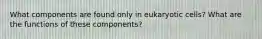 What components are found only in eukaryotic cells? What are the functions of these components?