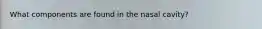 What components are found in the nasal cavity?