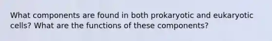 What components are found in both prokaryotic and eukaryotic cells? What are the functions of these components?