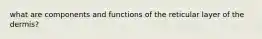 what are components and functions of the reticular layer of the dermis?