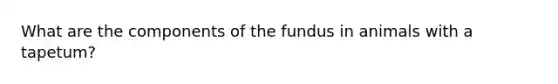 What are the components of the fundus in animals with a tapetum?