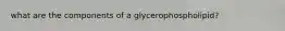 what are the components of a glycerophospholipid?