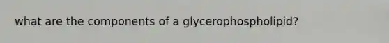 what are the components of a glycerophospholipid?