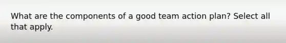 What are the components of a good team action plan? Select all that apply.