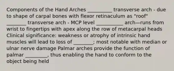 Components of the Hand Arches __________ transverse arch - due to shape of carpal bones with flexor retinaculum as "roof" ________ transverse arch - MCP level ___________ arch—runs from wrist to fingertips with apex along the row of metacarpal heads Clinical significance: weakness or atrophy of intrinsic hand muscles will lead to loss of ________; most notable with median or ulnar nerve damage Palmar arches provide the function of palmar _________, thus enabling the hand to conform to the object being held