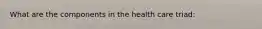 What are the components in the health care triad: