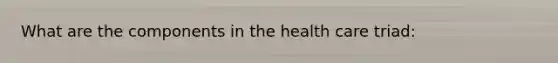 What are the components in the health care triad: