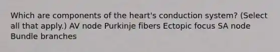 Which are components of the heart's conduction system? (Select all that apply.) AV node Purkinje fibers Ectopic focus SA node Bundle branches