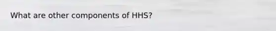 What are other components of HHS?