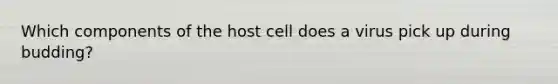 Which components of the host cell does a virus pick up during budding?