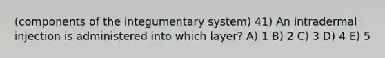 (components of the integumentary system) 41) An intradermal injection is administered into which layer? A) 1 B) 2 C) 3 D) 4 E) 5