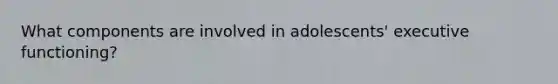 What components are involved in adolescents' executive functioning?