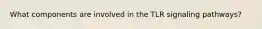 What components are involved in the TLR signaling pathways?