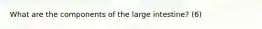 What are the components of the large intestine? (6)