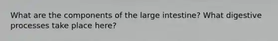 What are the components of the large intestine? What digestive processes take place here?