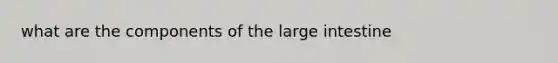 what are the components of the large intestine