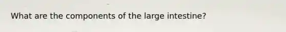 What are the components of the large intestine?