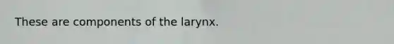 These are components of the larynx.