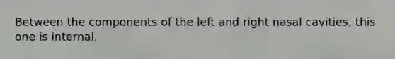 Between the components of the left and right nasal cavities, this one is internal.