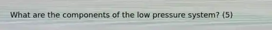 What are the components of the low pressure system? (5)