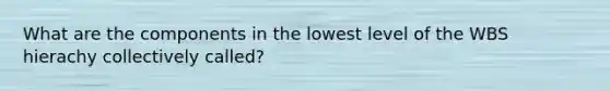 What are the components in the lowest level of the WBS hierachy collectively called?