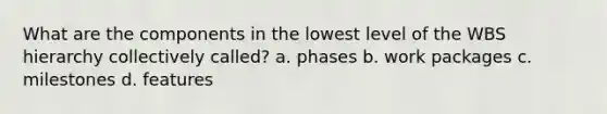 What are the components in the lowest level of the WBS hierarchy collectively called? a. phases b. work packages c. milestones d. features